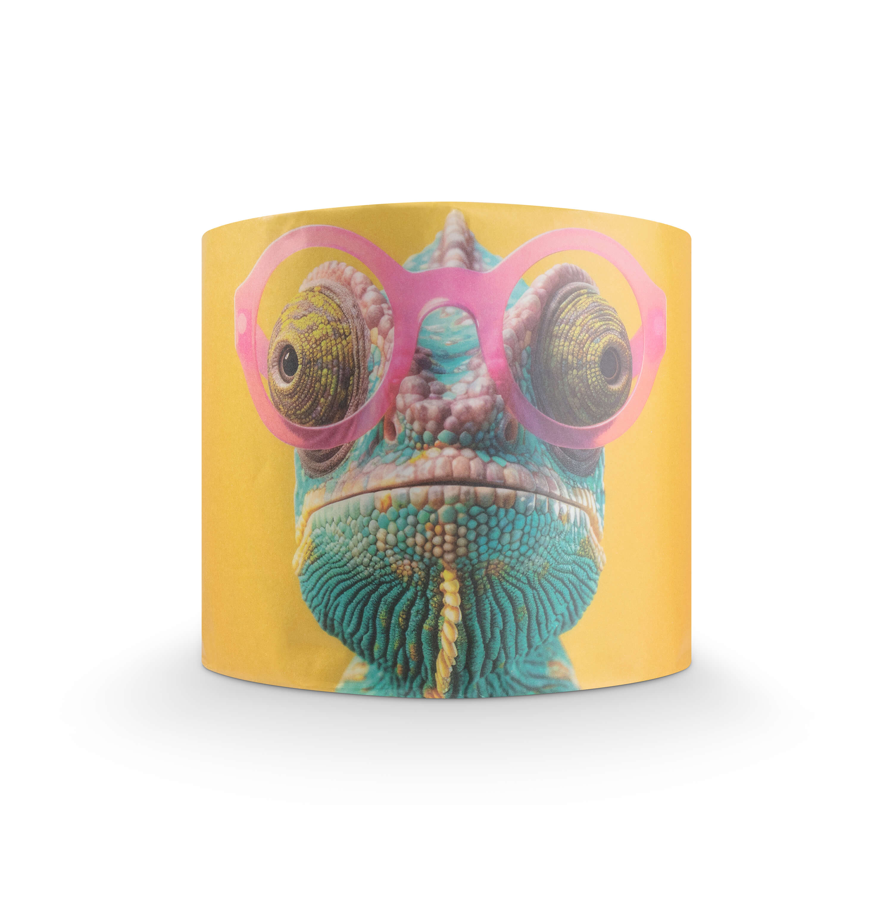 Animal Collection #1 Bamboo Toilet Rolls x 24